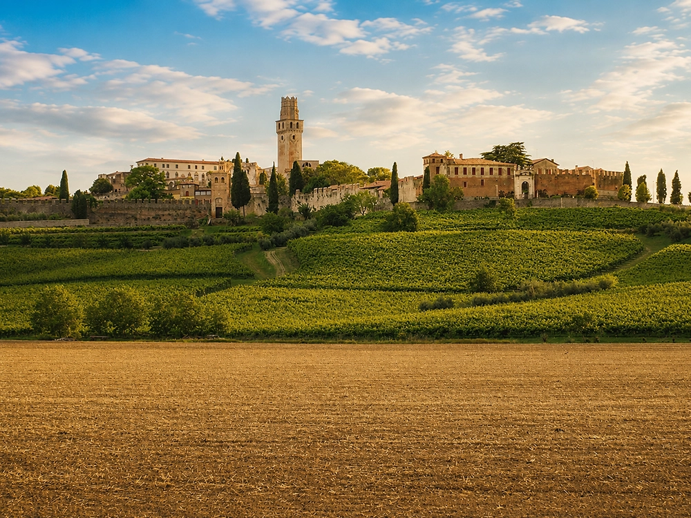 Scopri il Castello di San Salvatore