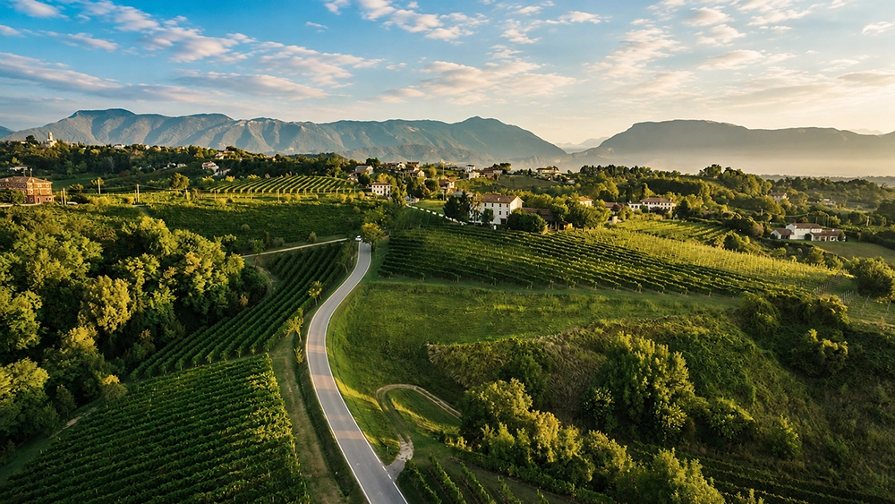 Percorri la Strada del Prosecco